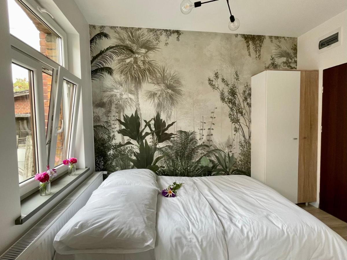 Studio Bielawa U Podnoza Gor Sowich Esterno foto